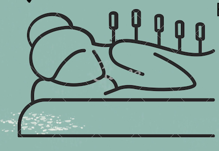 Julie Herringshaw,  R.Ac